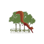 Ardilla saltando frente al logo de la Fundación Guayacanal. "Una nueva armonía con la Naturaleza".