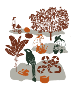 Ilustraciones 17