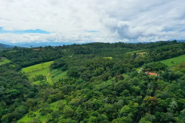 Paisaje verde de la microcuenca La Paramera con colinas arboladas y cielo nublado.